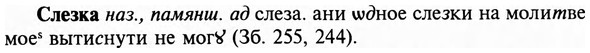 img/31/31-416_2492_Слезка.jpg