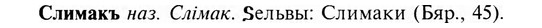 img/31/31-422_2529_Слимакъ.jpg