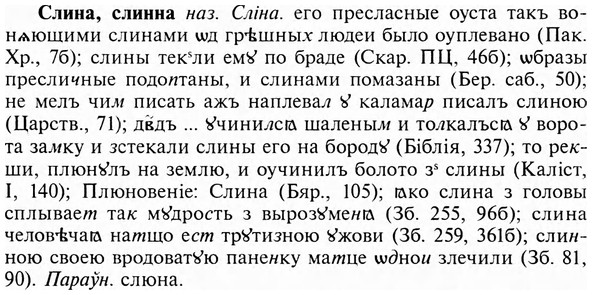 img/31/31-422_2530_Слина.jpg