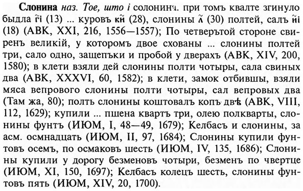 img/31/31-435_2606_Слонина.jpg