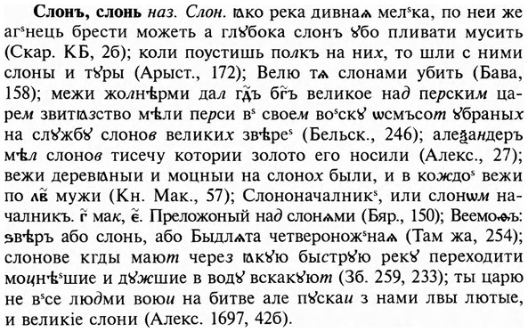 img/31/31-436_2610_Слонъ.jpg