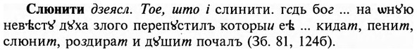 img/31/31-471_2726_Слюнити.jpg