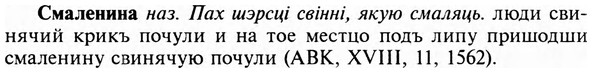 img/31/31-474_2745_Смаленина.jpg