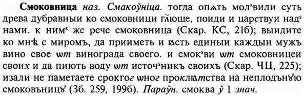 img/31/31-494_2857_Смоковница.jpg