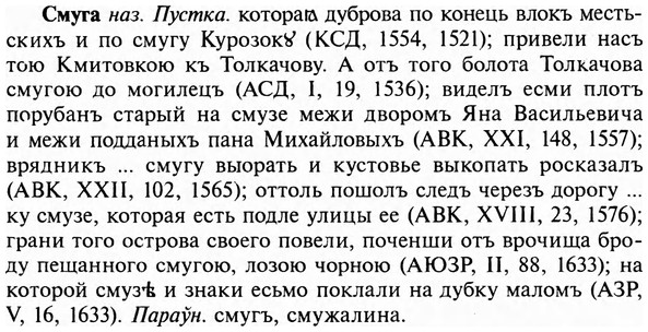 img/31/31-504_2905_Смуга.jpg