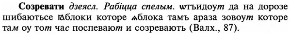 img/32/32-061_0364_Созревати.jpg