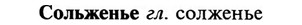 img/32/32-083_0501_Сольженье.jpg
