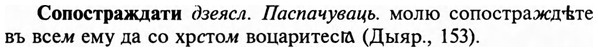 img/32/32-090_0564_Сопостраждати.jpg