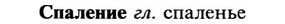 img/32/32-124_0801_Спаление.jpg