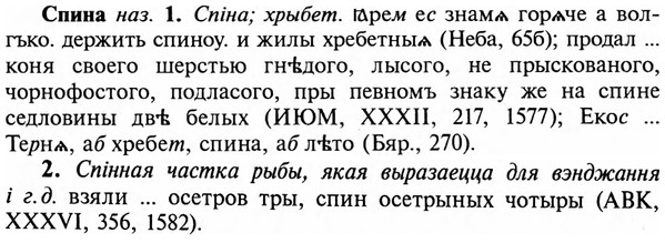 img/32/32-144_0919_Спина.jpg