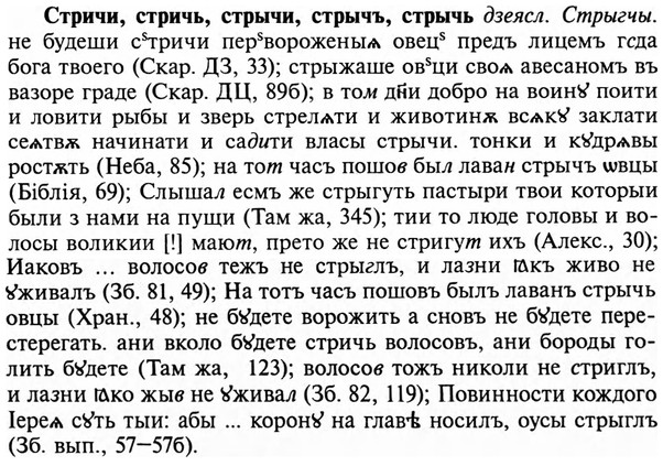 img/32/32-484_2490_Стричи.jpg