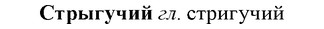 img/33/33-007_0025_Стрыгучий.jpg