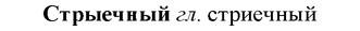 img/33/33-008_0030_Стрыечный.jpg