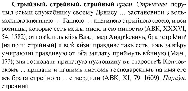img/33/33-009_0038_Стрыйный.jpg