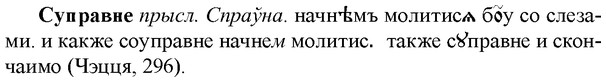 img/33/33-084_0443_Суправне.jpg