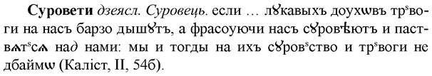 img/33/33-087_0474_Суровети.jpg