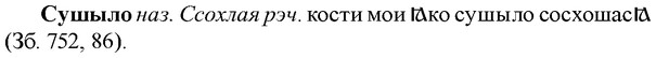 img/33/33-105_0564_Сушыло.jpg