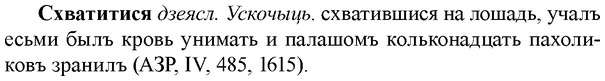 img/33/33-109_0598_Схватитися.jpg
