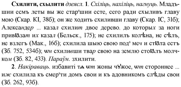 img/33/33-111_0608_Схилити.jpg