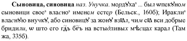 img/33/33-138_0822_Сыновица.jpg
