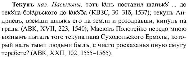 img/33/33-251_1257_Текунъ.jpg