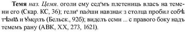img/33/33-265_1326_Темя.jpg