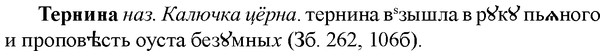 img/33/33-276_1378_Тернина.jpg