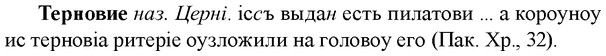 img/33/33-276_1380_Терновие.jpg