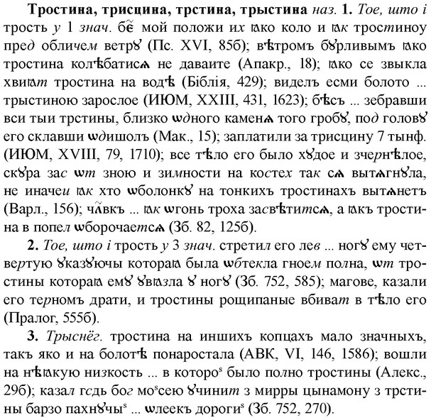img/34/34-035_0190_Тростина.jpg
