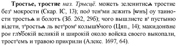 img/34/34-036_0195_Тростье.jpg