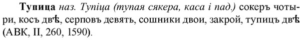 img/34/34-071_0402_Тупица.jpg