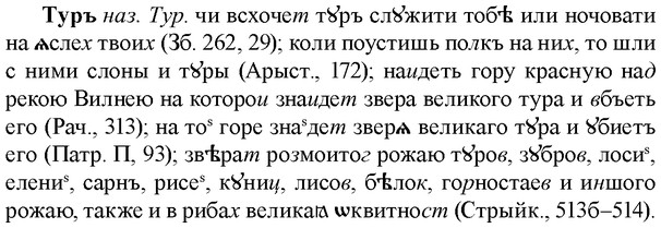 img/34/34-078_0436_Туръ.jpg
