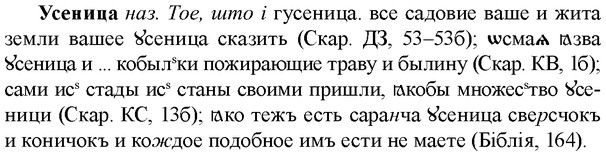 img/35/35-147_0791_Усеница.jpg