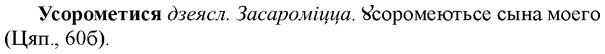 img/35/35-172_0962_Усорометися.jpg