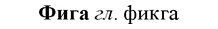 img/35/35-403_2151_Фига.jpg