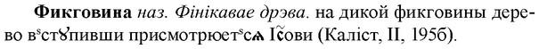 img/35/35-404_2161_Фикговина.jpg