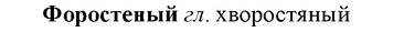 img/36/36-010_0045_Форостеный.jpg