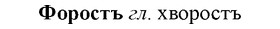 img/36/36-010_0047_Форостъ.jpg