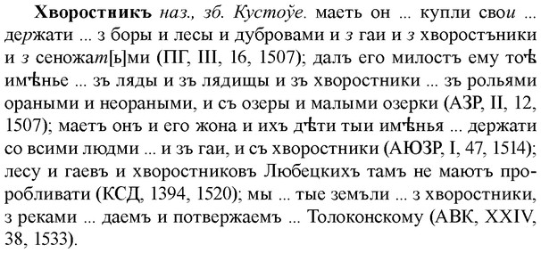 img/36/36-063_0340_Хворостникъ.jpg