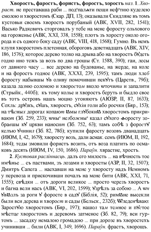 img/36/36-063_0341_Хворостъ.jpg