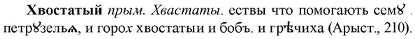 img/36/36-065_0347_Хвостатый.jpg