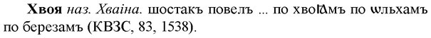 img/36/36-066_0351_Хвоя.jpg