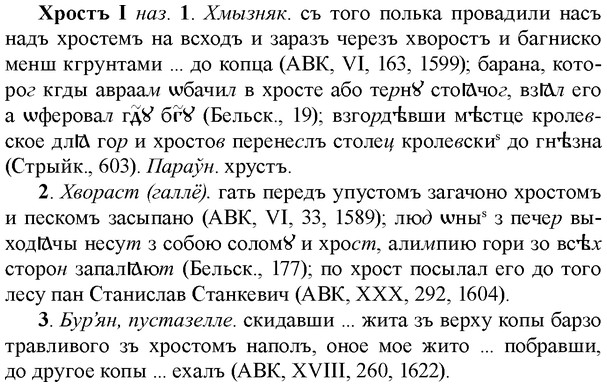 img/36/36-172_0836_Хростъ.jpg