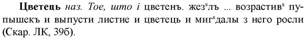 img/36/36-203_0991_Цветець.jpg