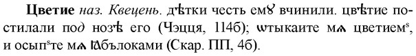 img/36/36-203_0992_Цветие.jpg