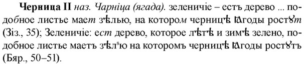 img/36/36-354_1667_Черница.jpg