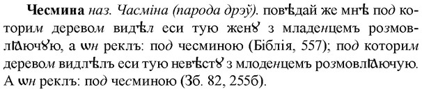 img/36/36-359_1714_Чесмина.jpg