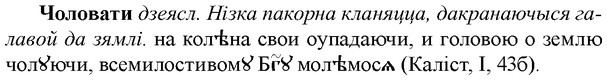 img/36/36-434_1985_Чоловати.jpg
