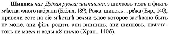 img/37/37-104_0626_Шипокъ.jpg