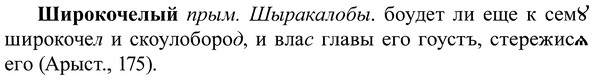 img/37/37-112_0649_Широкочелый.jpg